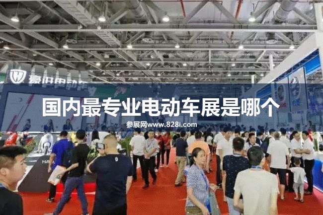 国内最专业的电动车展是哪个？广州电动车展(www.rhrhrh.cn)