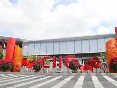 2024上海进博会门票预约指南:企业观众可以报名