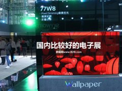 国内比较好的电子展是哪个?