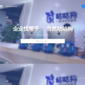 咕咕狗一站式企業服務